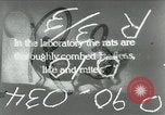 Image of Rats dissected for disease investigation United States USA, 1932, second 1 stock footage video 65675048951