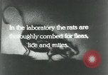 Image of Rats dissected for disease investigation United States USA, 1932, second 3 stock footage video 65675048951