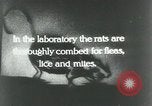 Image of Rats dissected for disease investigation United States USA, 1932, second 4 stock footage video 65675048951