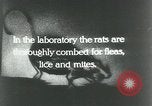 Image of Rats dissected for disease investigation United States USA, 1932, second 5 stock footage video 65675048951