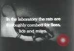 Image of Rats dissected for disease investigation United States USA, 1932, second 6 stock footage video 65675048951