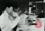 Image of Rats dissected for disease investigation United States USA, 1932, second 8 stock footage video 65675048951