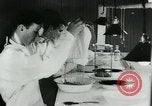 Image of Rats dissected for disease investigation United States USA, 1932, second 9 stock footage video 65675048951
