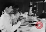 Image of Rats dissected for disease investigation United States USA, 1932, second 11 stock footage video 65675048951