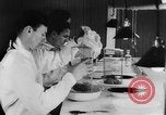 Image of Rats dissected for disease investigation United States USA, 1932, second 12 stock footage video 65675048951