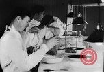 Image of Rats dissected for disease investigation United States USA, 1932, second 13 stock footage video 65675048951
