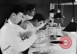 Image of Rats dissected for disease investigation United States USA, 1932, second 15 stock footage video 65675048951