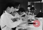 Image of Rats dissected for disease investigation United States USA, 1932, second 16 stock footage video 65675048951