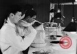 Image of Rats dissected for disease investigation United States USA, 1932, second 19 stock footage video 65675048951