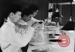 Image of Rats dissected for disease investigation United States USA, 1932, second 20 stock footage video 65675048951