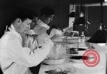 Image of Rats dissected for disease investigation United States USA, 1932, second 22 stock footage video 65675048951