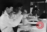 Image of Rats dissected for disease investigation United States USA, 1932, second 27 stock footage video 65675048951
