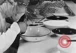 Image of Rats dissected for disease investigation United States USA, 1932, second 29 stock footage video 65675048951