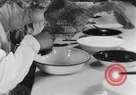 Image of Rats dissected for disease investigation United States USA, 1932, second 30 stock footage video 65675048951