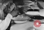 Image of Rats dissected for disease investigation United States USA, 1932, second 31 stock footage video 65675048951
