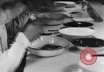 Image of Rats dissected for disease investigation United States USA, 1932, second 32 stock footage video 65675048951