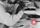 Image of Rats dissected for disease investigation United States USA, 1932, second 35 stock footage video 65675048951