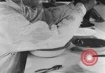 Image of Rats dissected for disease investigation United States USA, 1932, second 36 stock footage video 65675048951