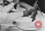 Image of Rats dissected for disease investigation United States USA, 1932, second 41 stock footage video 65675048951