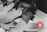 Image of Rats dissected for disease investigation United States USA, 1932, second 53 stock footage video 65675048951