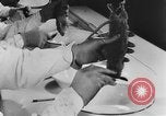 Image of Rats dissected for disease investigation United States USA, 1932, second 55 stock footage video 65675048951