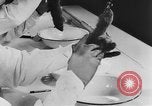 Image of Rats dissected for disease investigation United States USA, 1932, second 56 stock footage video 65675048951