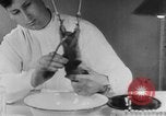 Image of Rats dissected for disease investigation United States USA, 1932, second 61 stock footage video 65675048951