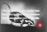 Image of rat United States USA, 1932, second 4 stock footage video 65675048952