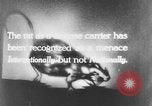 Image of rat United States USA, 1932, second 8 stock footage video 65675048952