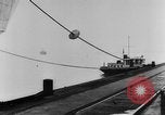 Image of rat United States USA, 1932, second 12 stock footage video 65675048952