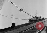 Image of rat United States USA, 1932, second 13 stock footage video 65675048952