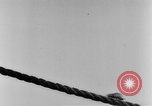 Image of rat United States USA, 1932, second 20 stock footage video 65675048952