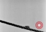 Image of rat United States USA, 1932, second 21 stock footage video 65675048952