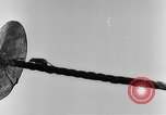 Image of rat United States USA, 1932, second 28 stock footage video 65675048952