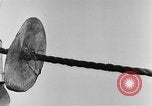 Image of rat United States USA, 1932, second 33 stock footage video 65675048952