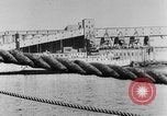 Image of rat United States USA, 1932, second 37 stock footage video 65675048952