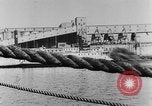 Image of rat United States USA, 1932, second 38 stock footage video 65675048952