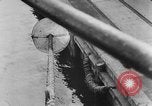 Image of rat United States USA, 1932, second 40 stock footage video 65675048952