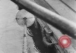Image of rat United States USA, 1932, second 41 stock footage video 65675048952