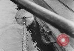Image of rat United States USA, 1932, second 43 stock footage video 65675048952