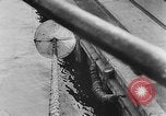 Image of rat United States USA, 1932, second 44 stock footage video 65675048952
