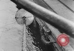 Image of rat United States USA, 1932, second 45 stock footage video 65675048952