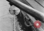 Image of rat United States USA, 1932, second 46 stock footage video 65675048952