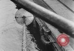 Image of rat United States USA, 1932, second 47 stock footage video 65675048952