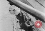 Image of rat United States USA, 1932, second 48 stock footage video 65675048952