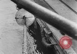 Image of rat United States USA, 1932, second 50 stock footage video 65675048952