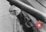 Image of rat United States USA, 1932, second 51 stock footage video 65675048952