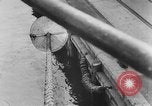 Image of rat United States USA, 1932, second 52 stock footage video 65675048952
