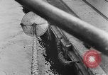 Image of rat United States USA, 1932, second 53 stock footage video 65675048952