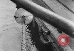 Image of rat United States USA, 1932, second 54 stock footage video 65675048952